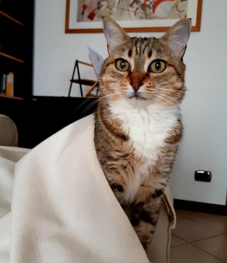 トリノ Un Buon Inizio Bed & Breakfast エクステリア 写真